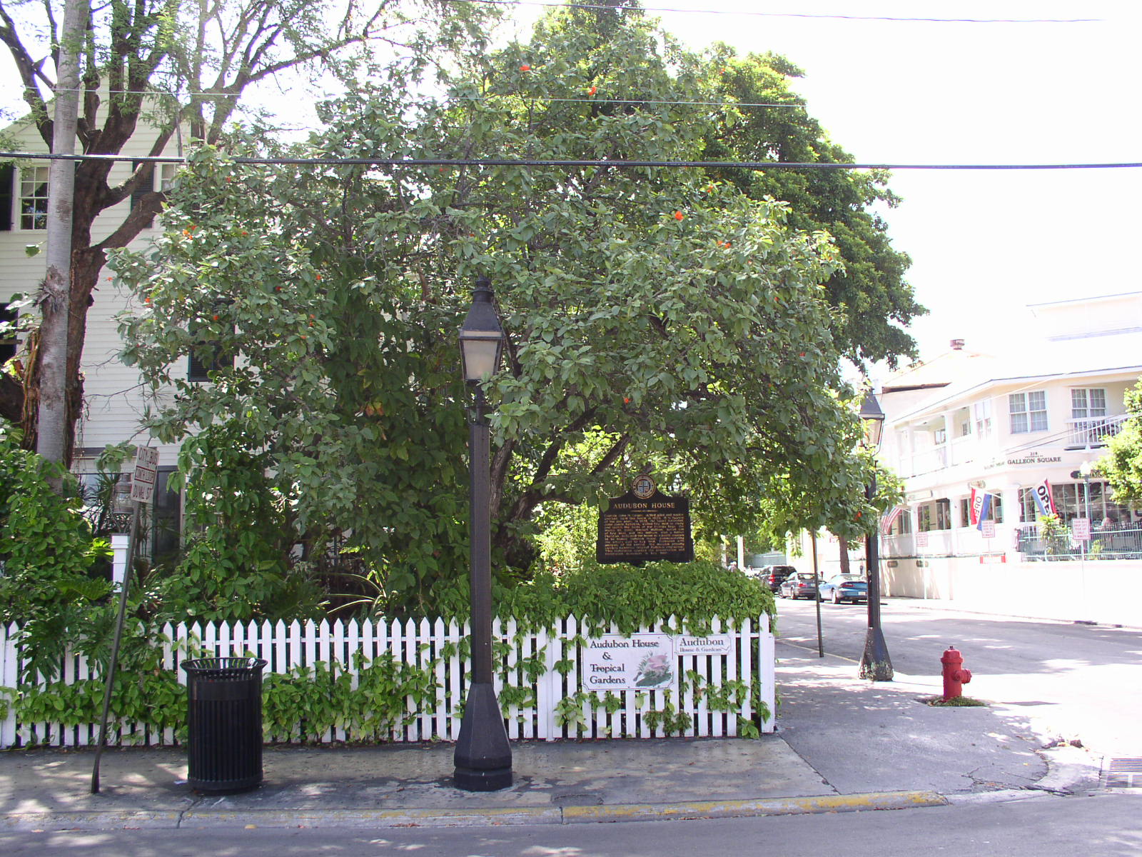 photo1